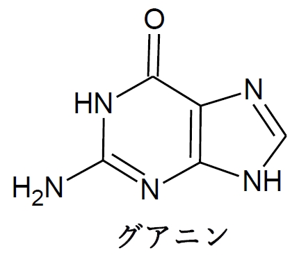 アシクロビル、バラシクロビル、アメナメビル 106回薬剤師国家試験問209